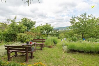 HALO reality - Predaj, záhradný pozemok   4064 m2 Bratislava - 9