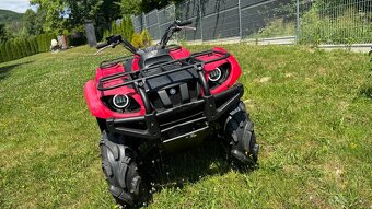 Yamaha grizzly 660 - 9