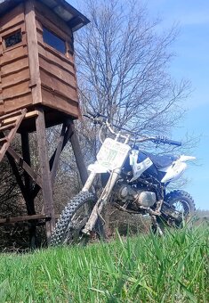 Pitbike 125 Stomp - 9