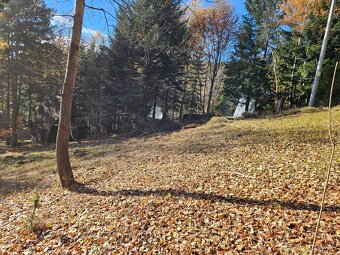 Predam chatu s pozemkom 1978m2 Drienica - 9