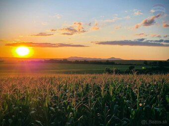 Viničný domček na pozemku 1648 m², Melek (Vráble) - 9