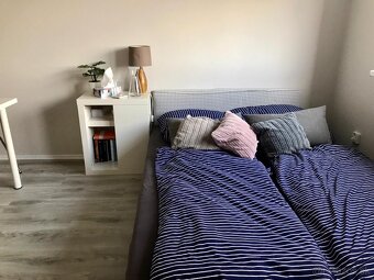 1 izbovy byt prenajom v Dubravke, bez RK poplatkov - 9