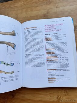 Čihák Anatomie 1 - 9