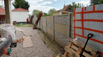 Tuja Smaragd, vavrínovec, červienka - Martin - 9