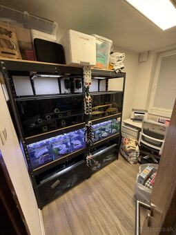 Regály s akváriami, technikou a rybičkami - 9