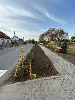 Údržba a realizácia záhrad - 9