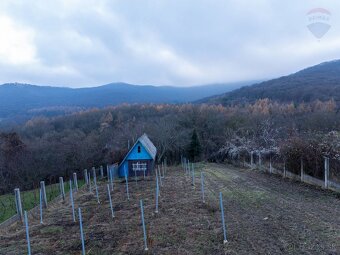 Predaj pozemok Podhorany-Mechenice - 9
