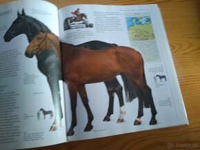 Obrazová encyklopedie koní (česky) - 20 eur - 9