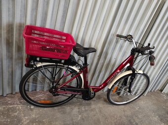 ebike Kennzel - 9