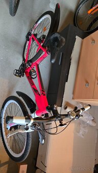 Kenzel Apolis Shade Damsky 27" - 9