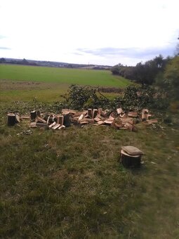 Kosenie záhrad a pílenie dreva - 9