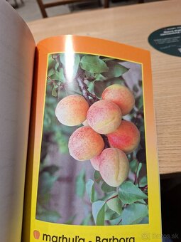 Poradca záhradkára 25 - 9