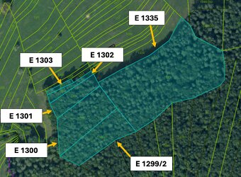 Omastiná – 9.909 m2 LESY a PASIENKY – PREDAJ - 9