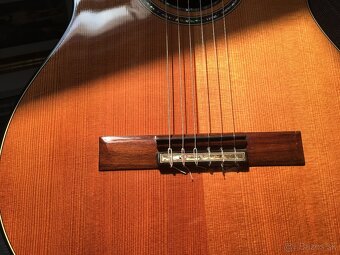 Gitara Španielská Merida Extrema model Diana - 9
