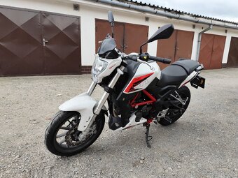 Benelli bn 251 - 9