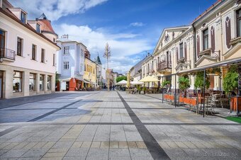 Zahrada v ZO Sĺňava (Drahovská Hať) PIEŠŤANY - 400m2 - 9