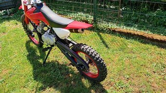 Pitbike Ranger 125 cc 17/14 - 9