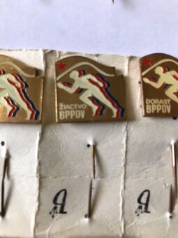 Výkonnostné odznaky žiactvo BPPOV - 9