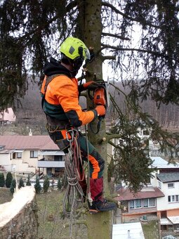 Výškové práce zrezavanie stromov - 9