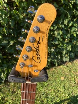 Godin session CANADA-USA - 9
