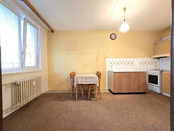 Pražský 3-izb. byt (72m² + 6m Loggia) CENTRUM / Floriánska - 9