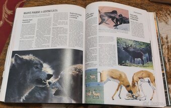 ZVIERATÁ, RASTLINY, RYBÁRSTVO, KUTIL... - 9