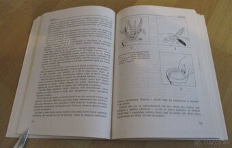 Vrúbľovanie, očkovanie, rozmnožovanie - 9