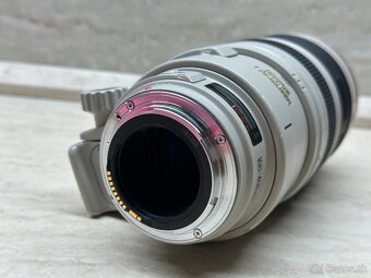Canon 100-400mm f/4.5-5.6L IS II USM - 9