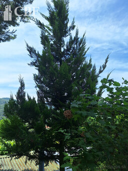 EŠTE NIŽŠIA CENA  KRÁSNA ZÁHRADA NA BETLIARSKEJ CESTE  - 9