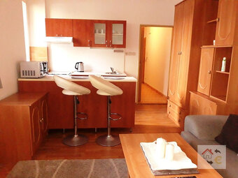 Voľný od 1.12.2025... 2 izbový byt s parkovacím miestom Budo - 9