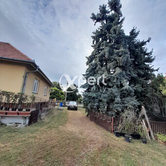 Predaj dvoj generačný Rodinný dom s veľkým stavebným pozemko - 9