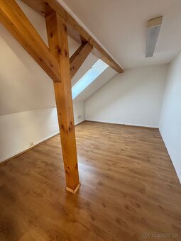 Prenájom obchodných a administratívnych priestorov v centre - 9