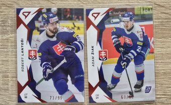 Hokejové Slovensko 2025 hokejové kartičky - 9