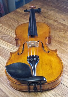 Medové husle 4/4 - 9