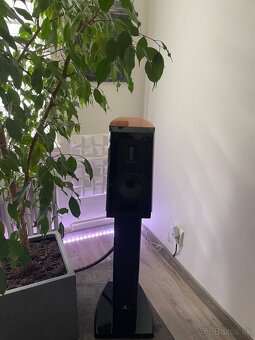 Aurum Cantus V2M - 9